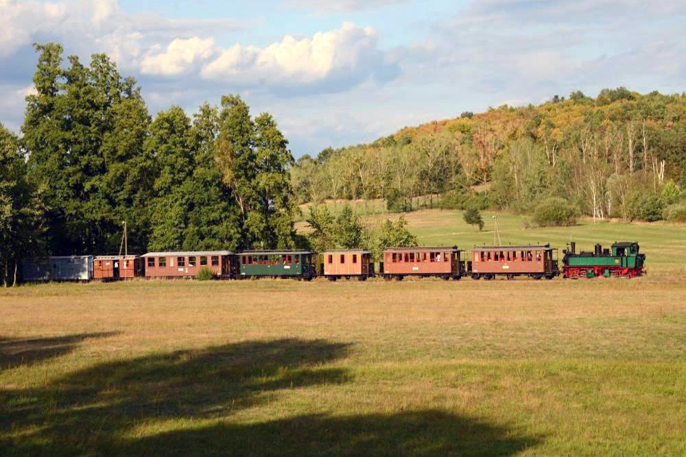 L��nitzgrundbahn: Tradi�n� parn� vlak
