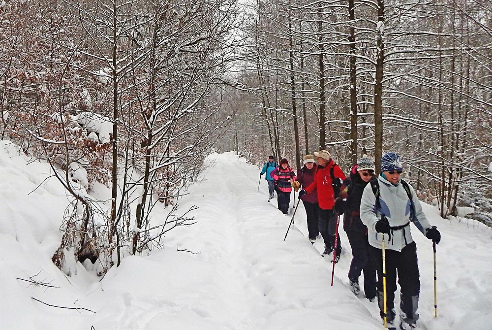 Novoro�n� turistick� pochod Kolem Hofewiese v Sasku u Dr��an.