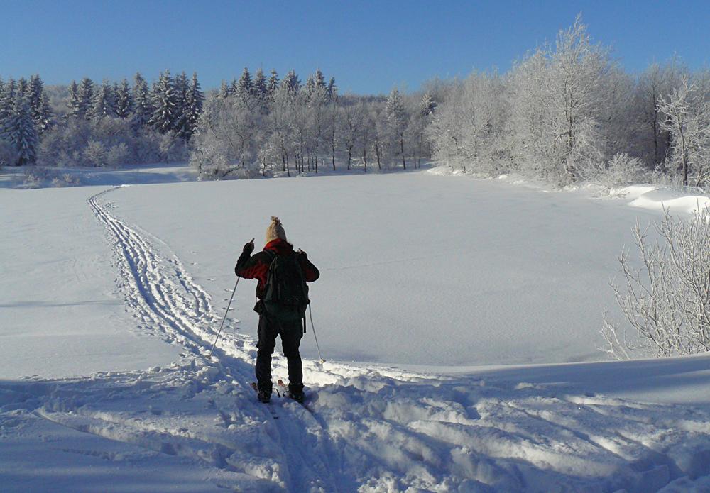 Novoro�n� turistick� pochod Kolem Hofewiese v Sasku u Dr��an.