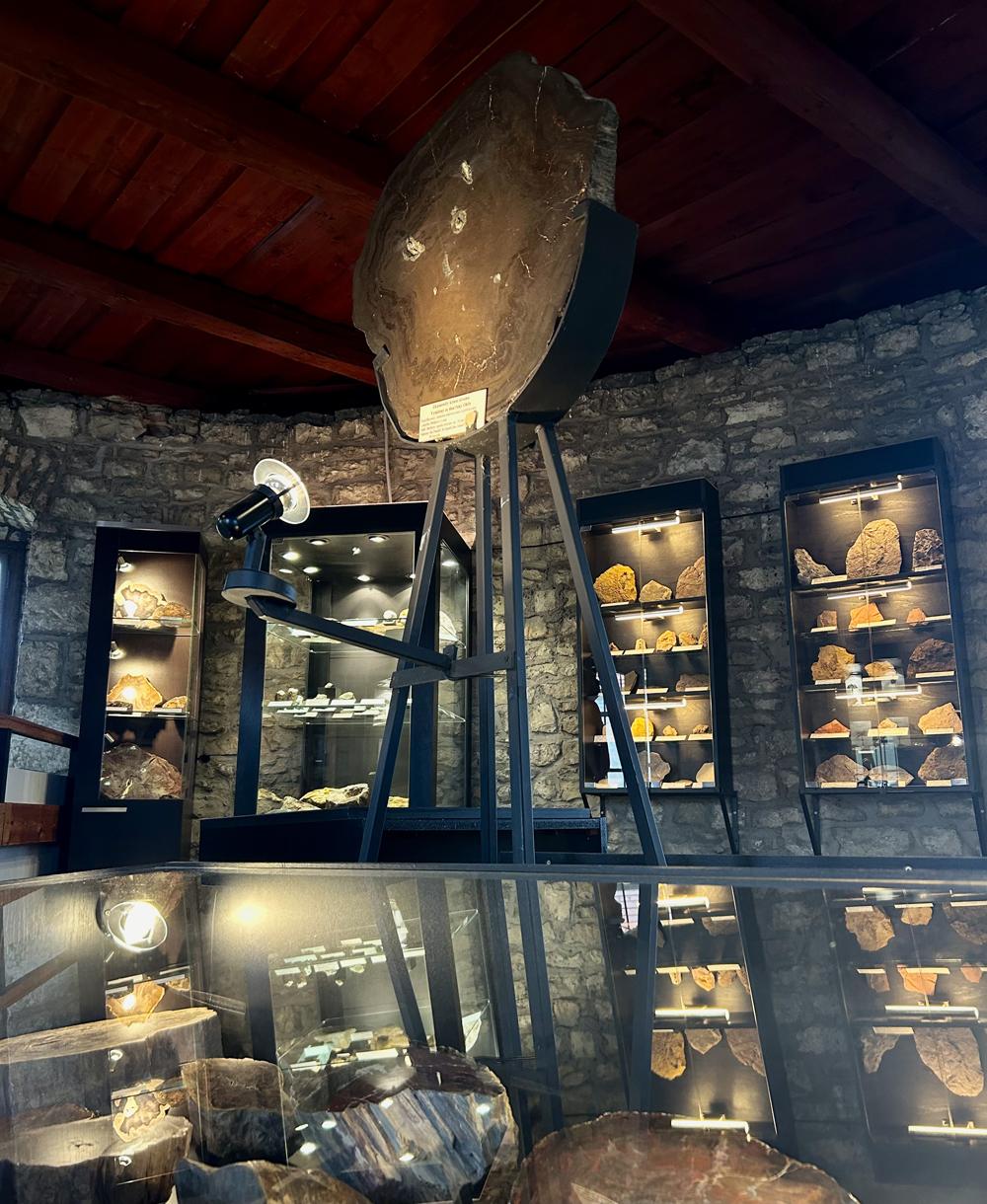Expozice �Zkamen�l� les� - Oblastn� muzeum Louny.