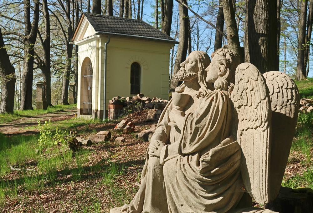 Velk� vyhl�dkov� okruh u �luknova - k��ov� cesta v Kr�lovstv�