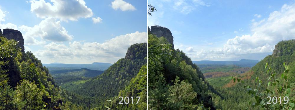 K�rovec v �esk�m �v�carsku - srovn�n� 2017 versus 2019