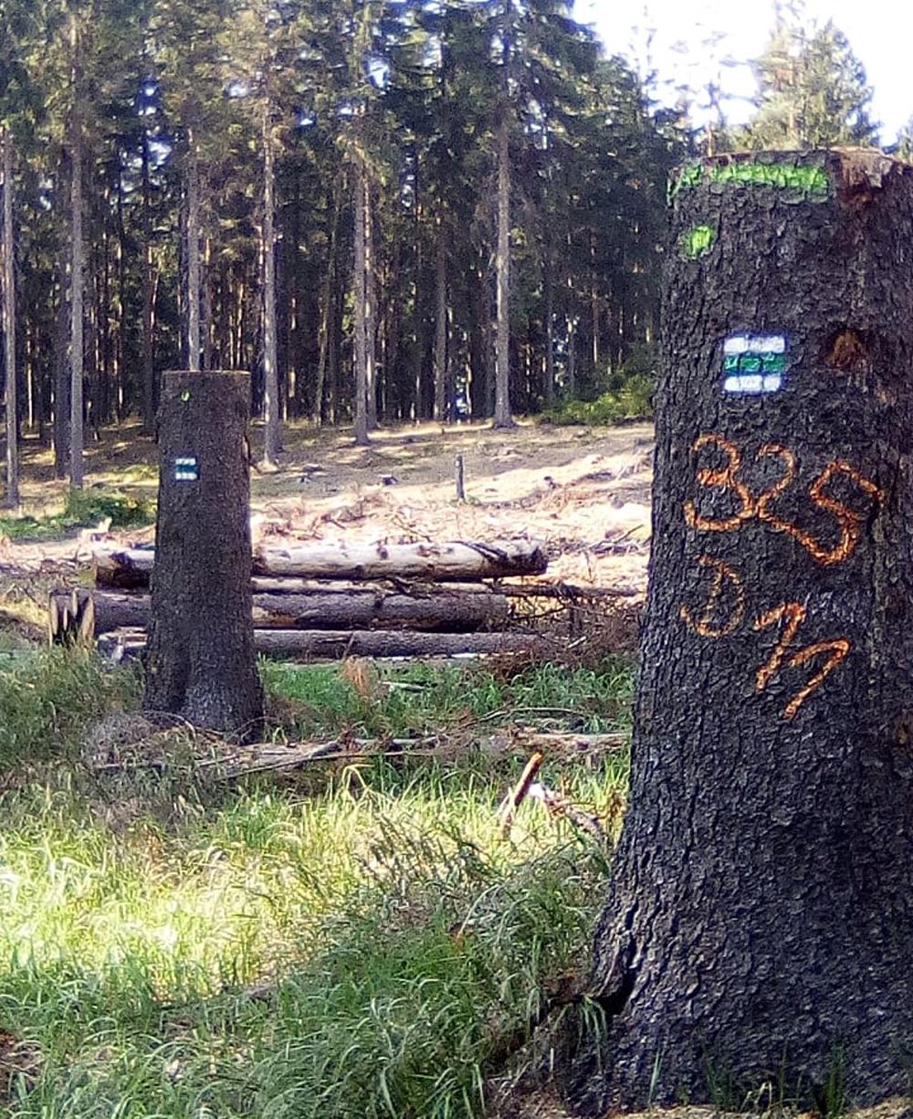 Turistick� zna�ky na �stromosloupech�.