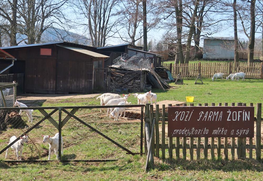 Horn� Podlu�� - koz� farma �of�n