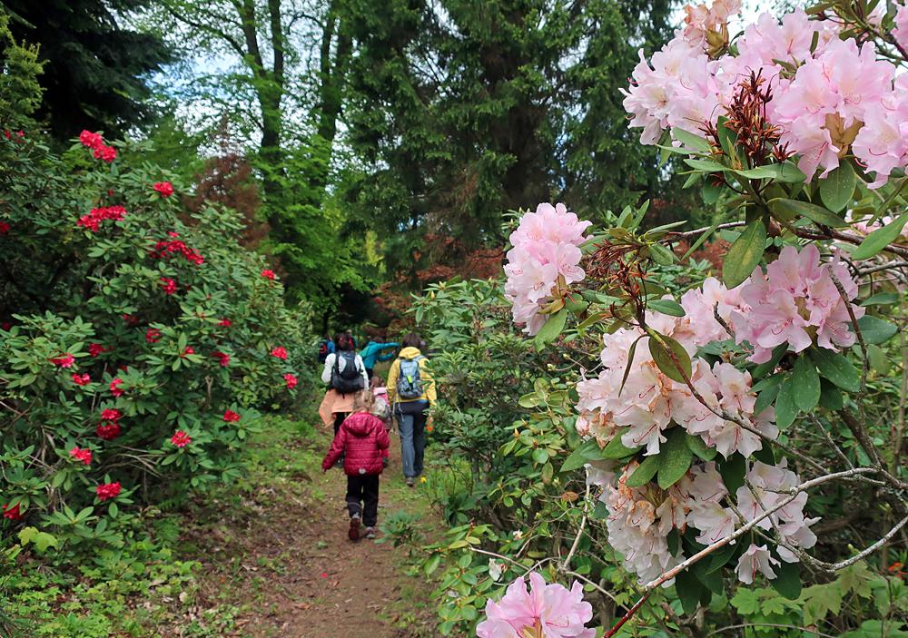 Arboretum ve Sn�n� - Kr�sn� L�pa - �esk� �v�carsko