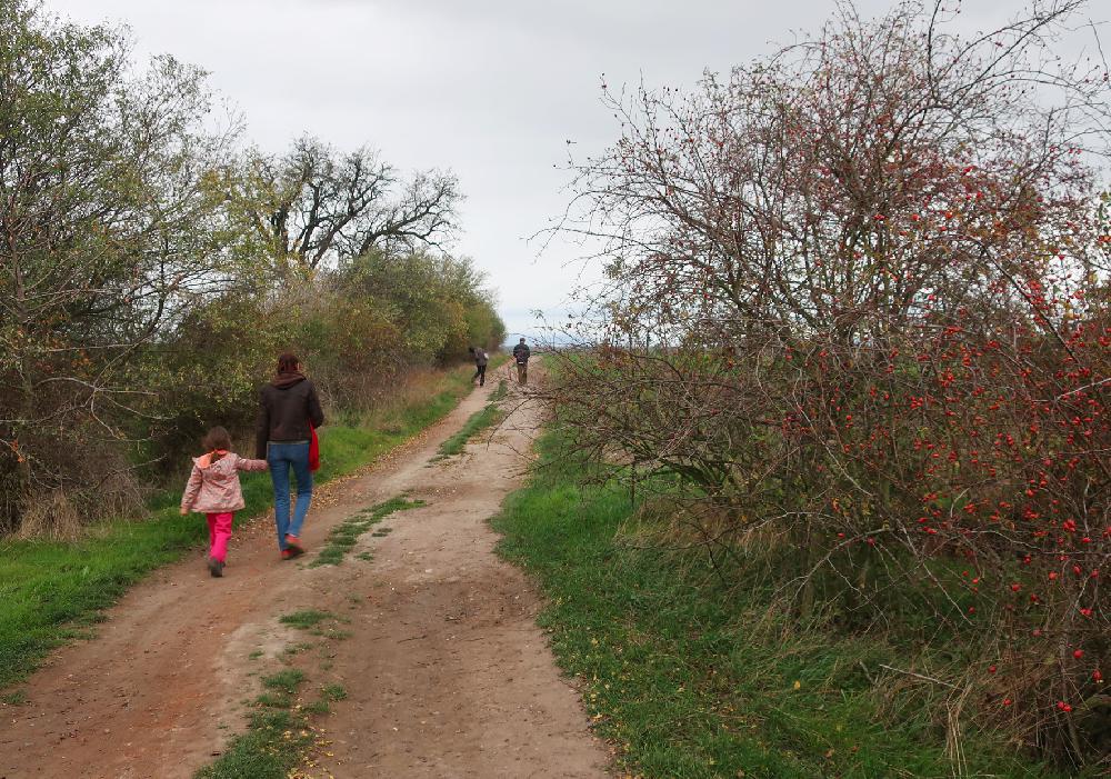 Cesta k Zaklet�mu mnichovi vedouc� od Dobromy�le.