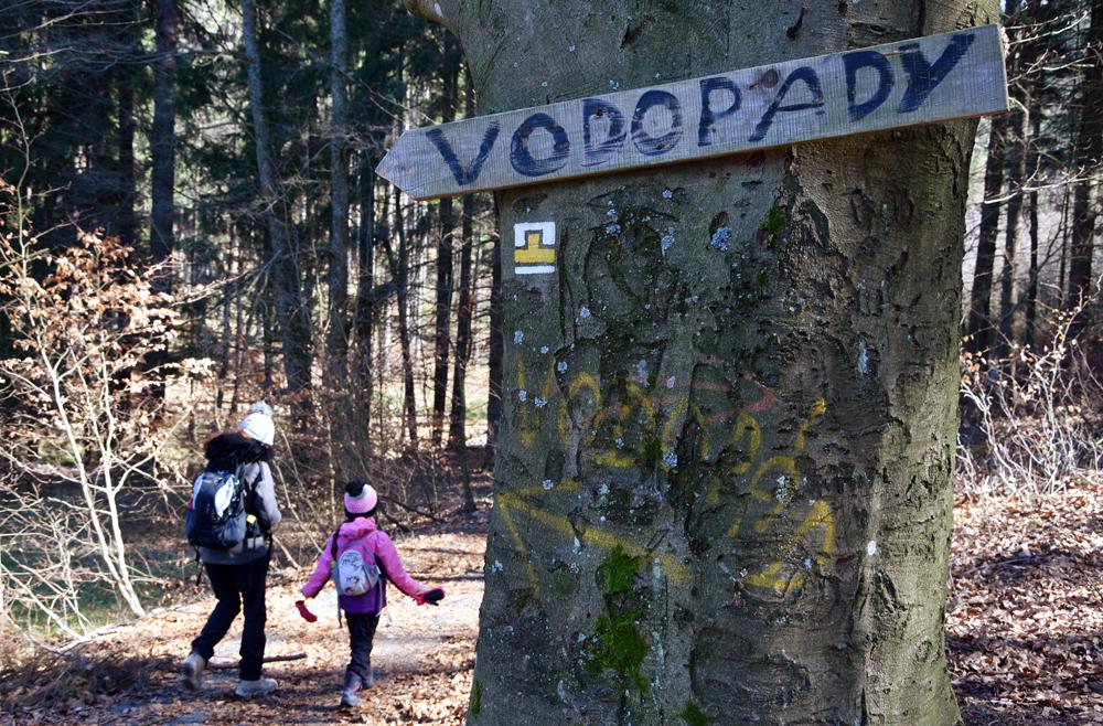 Cesta k Ch�ibsk�m vodop�d�m.