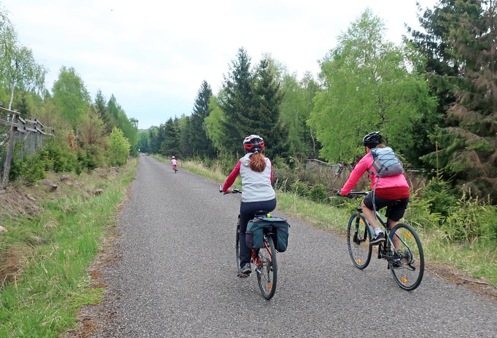Kru�nohorsk� cyklistick� magistr�la v �seku C�novec - Kom��� h�rka.