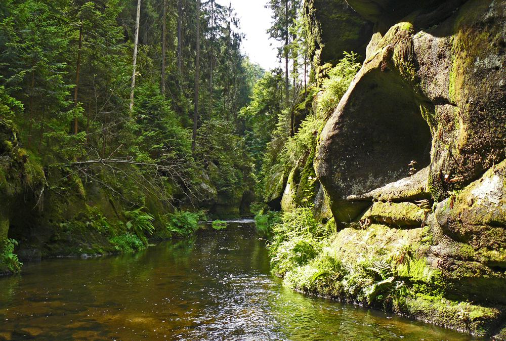 ���ka K�inice - �esk� �v�carsko