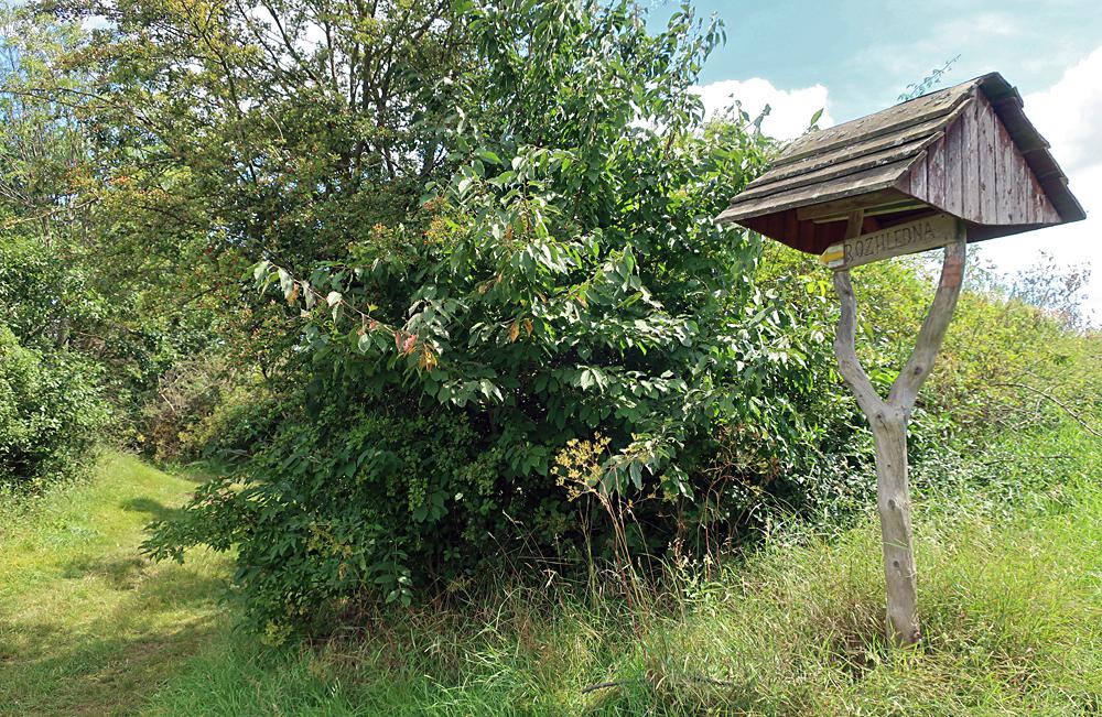 Cesta k rozhledn� Stradonka.
