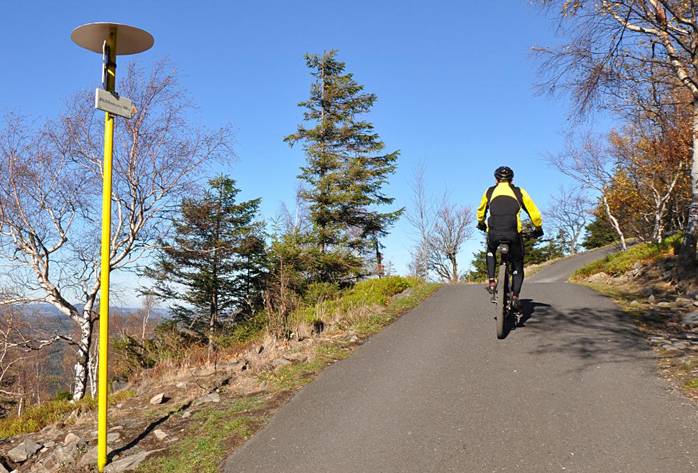 Cyklista jede na Jedlovou v Lu�ick�ch hor�ch.
