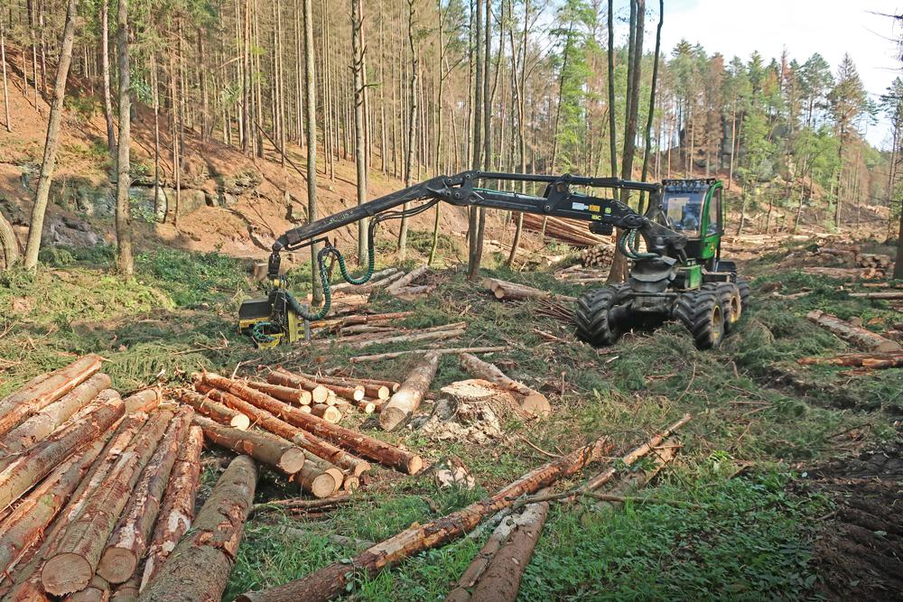 T�ba v n�rodn�m parku �esk� �v�carsko.