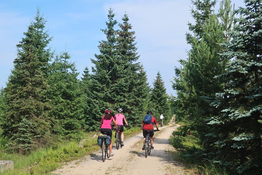 Kru�nohorsk� cyklistick� magistr�la �. 23