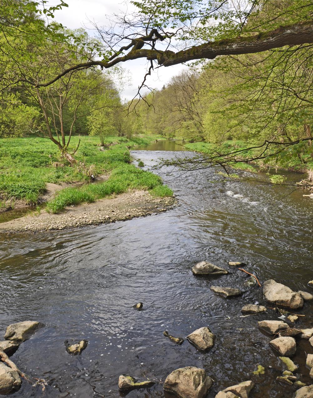 Mandava pod Hainewalde