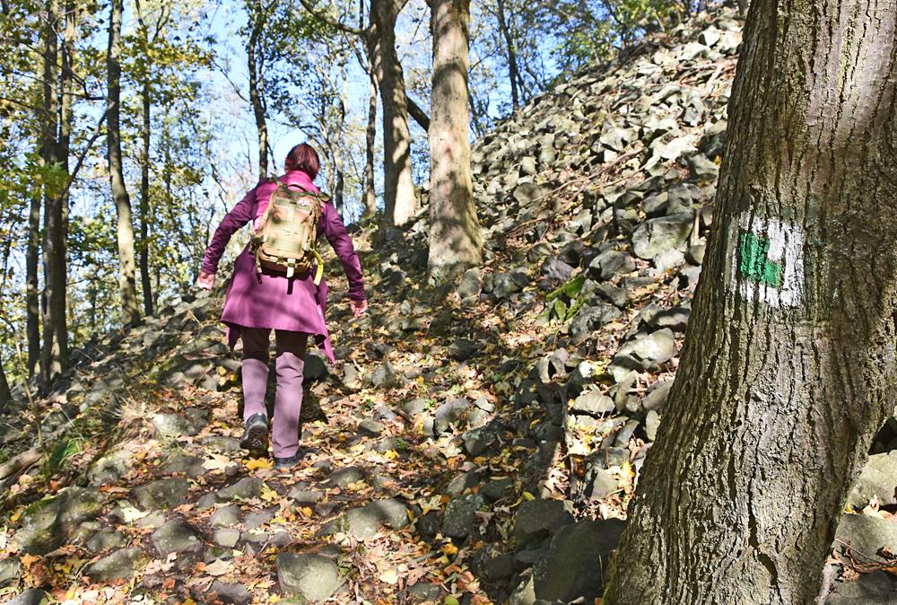 Rozhledna Z�meck� vrch (hrad Kamenice) - �esk� �v�carsko - cesta k rozhledn�