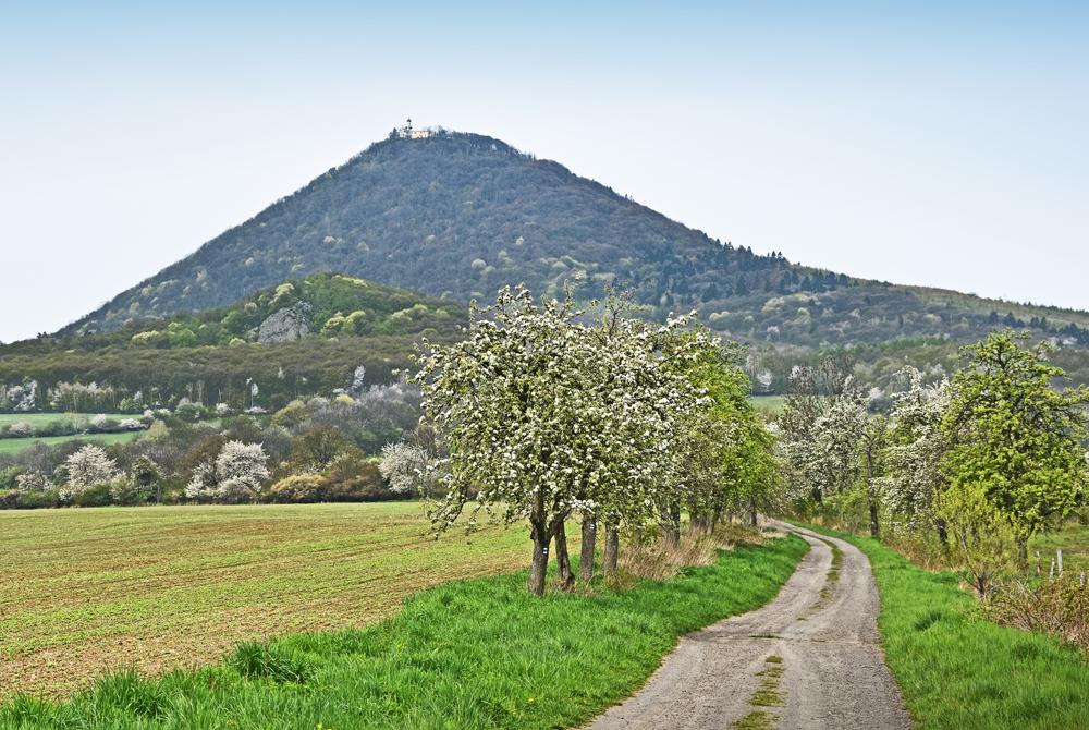 Mileovka (vrchol 837 m n. m.) - esk stedoho