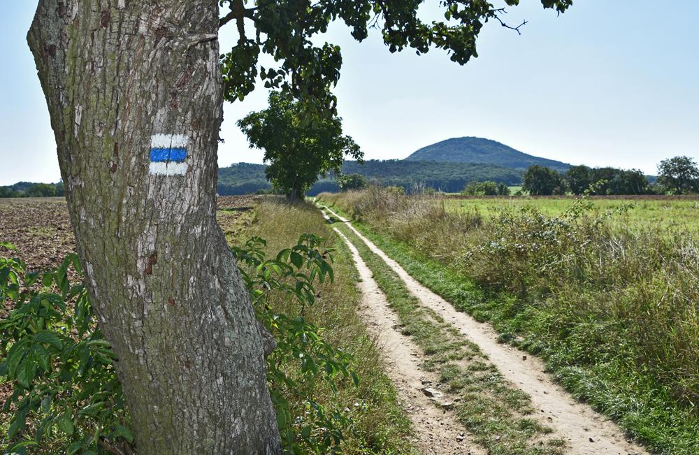 Modr� turistick� trasa z Roudnice na ��p.
