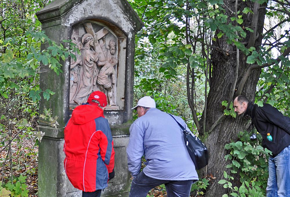 K��ov� cesta - Str�n� vrch - Rumburk (�esk� nizozem�)