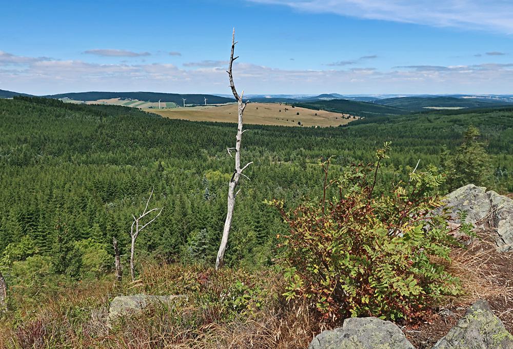 Pohled do sask�ch Kru�n�ch hor z vrcholu Meluz�na.