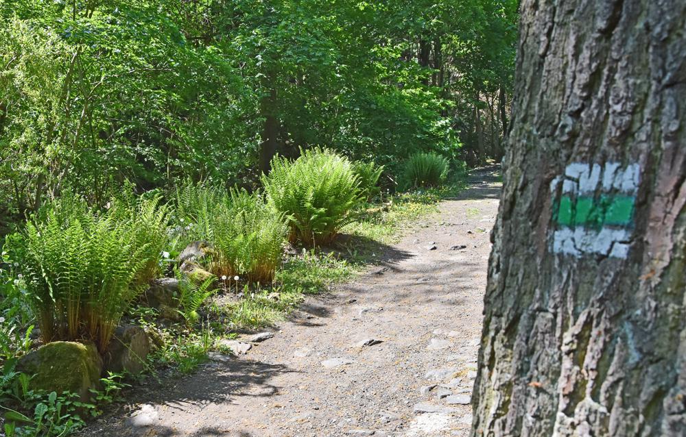 Turistick� trasa na vyhl�dku Vrko�.