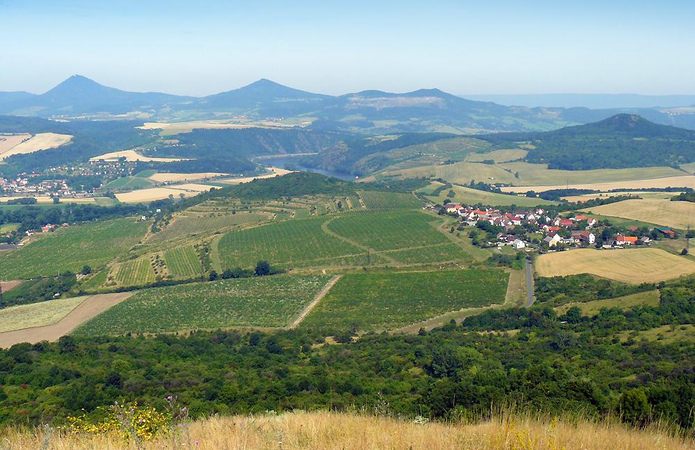 ernoseck vinice a Porta Bohemica z Radoblu