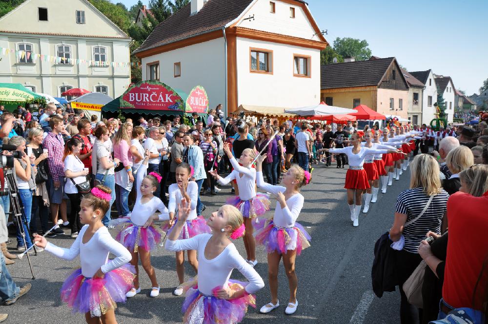 �ernoseck� ma�oretky v pr�vodu na vinobran�.