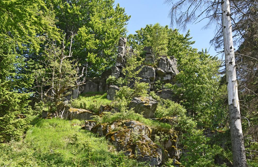 Konop�� m� podobu zarostl�ho seskupen� skal.