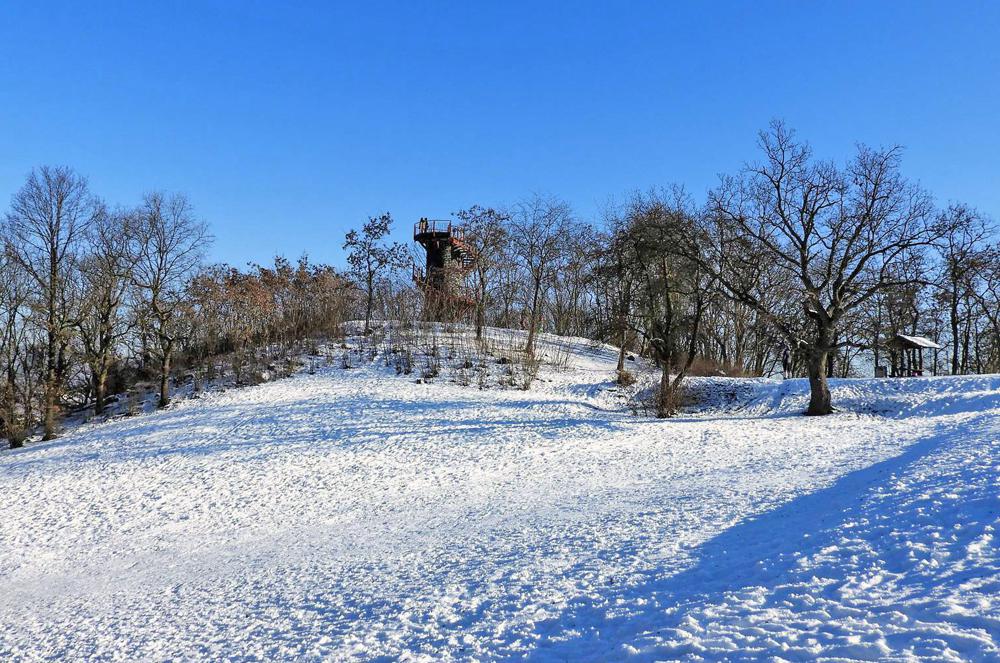 St�ekovsk� vyhl�dka na vrchu Sedlo - �st� nad Labem