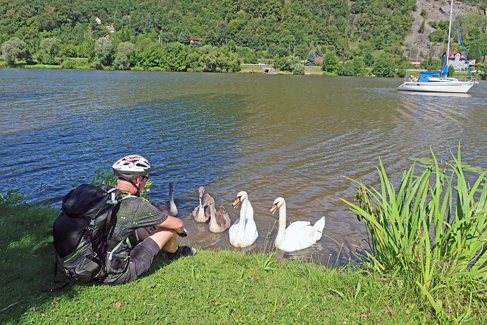 Labsk� cyklostezka (n�rodn� cyklotrasa �. 2) - rozhovor s labu�emi