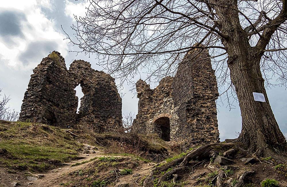 Hrad Lestkov (Egerberk) - Doln� Pooh��