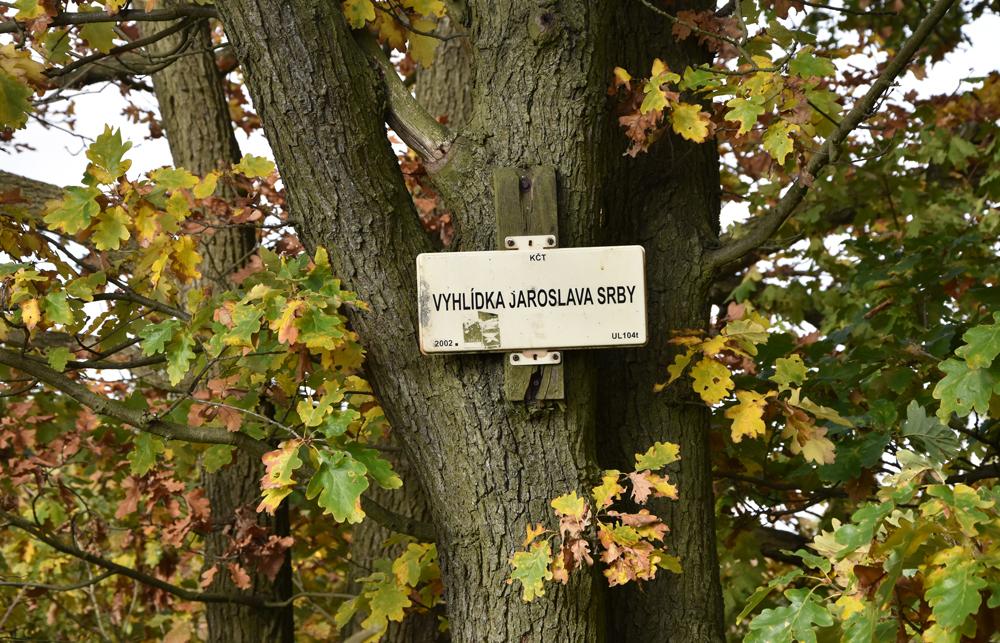 Vyhl�dka Jaroslava Srby