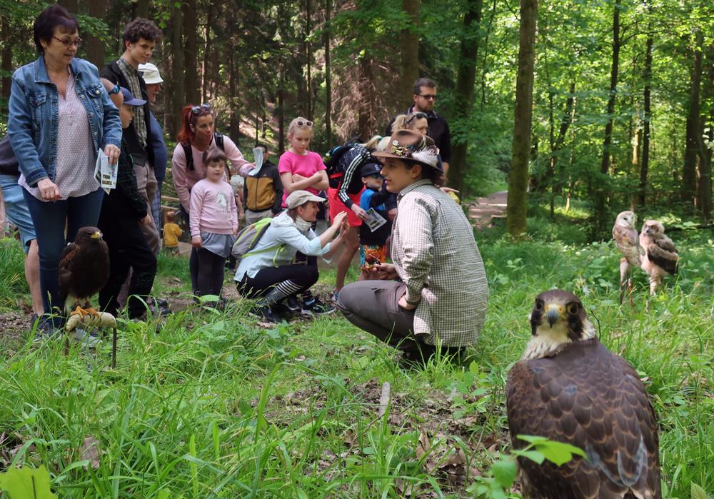 Sokoln�ci na turistick�m festivalu Turfest.cz v �esk� Kamenici