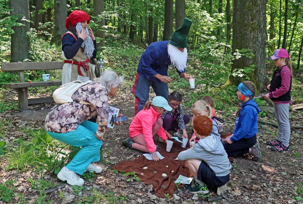 Poh�dkov� les v �esk� Kamenici - turistick� festival Turfest.cz