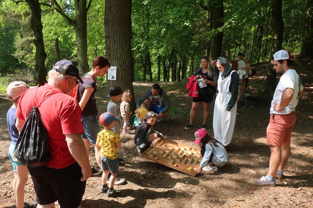 Poh�dkov� les v �esk� Kamenici - turistick� festival Turfest.cz