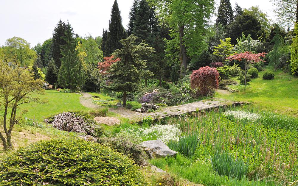 Fritscheho arboretum ve Sn�n� u Kr�sn� L�py