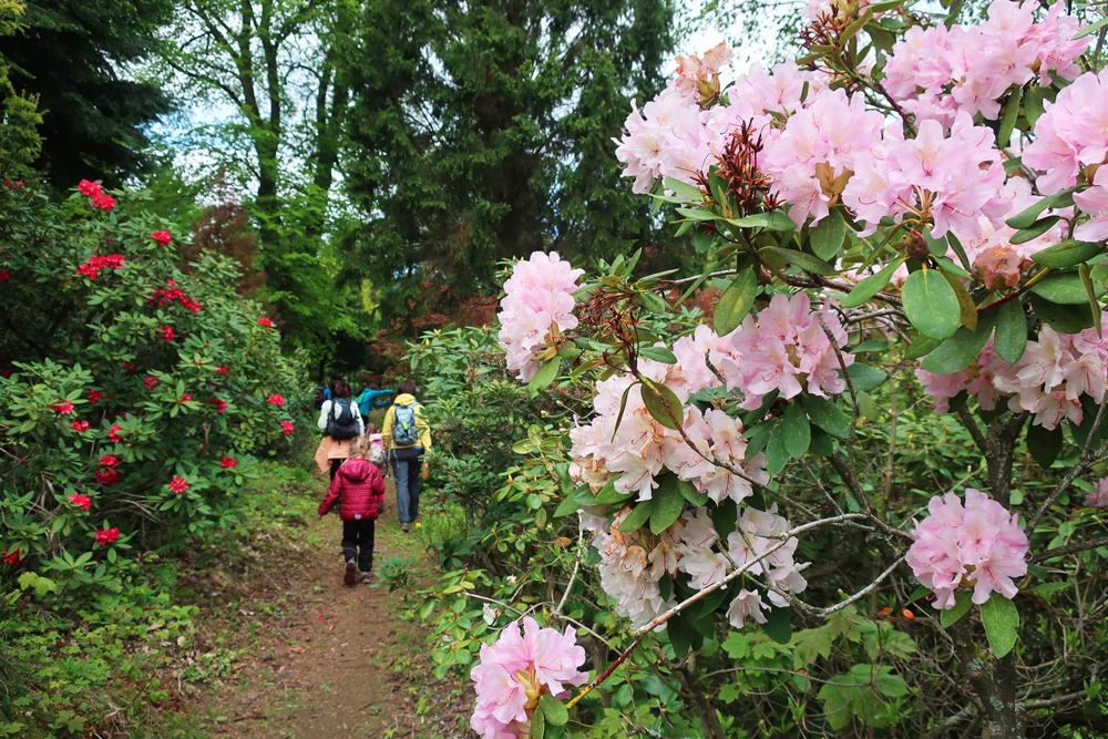 Fritscheho arboretum ve Sn�n�