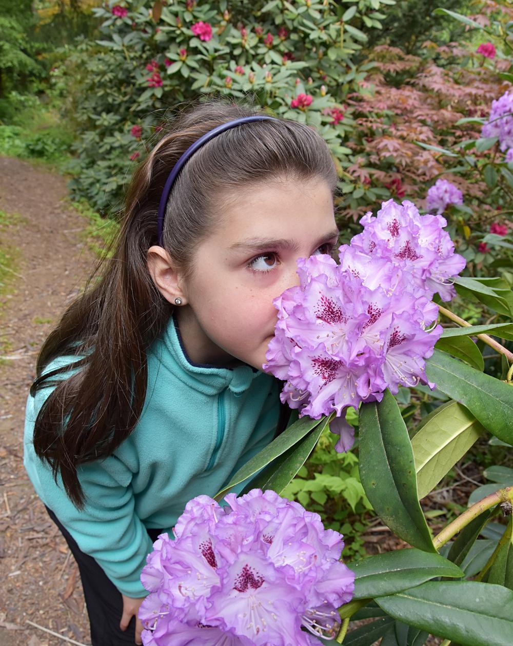 Arboretum Sn�n� - �esk� nizozem�