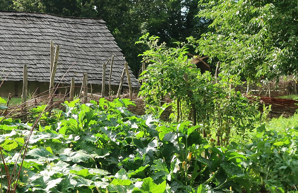 Archeoskanzen B�ezno u Loun - Doln� Pooh��