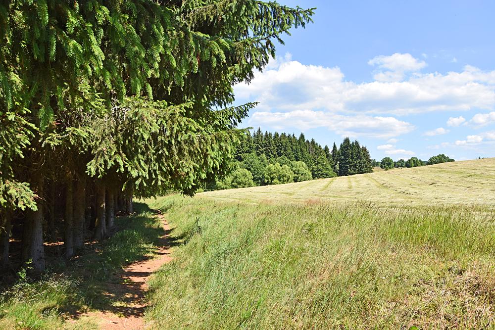 Turistick� stezka Kru�n�mi Horami.