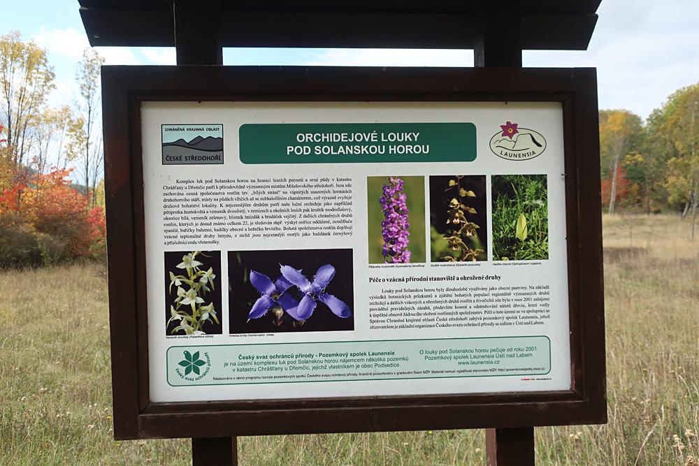 Orchidejov� louky pod Solanskou horou.