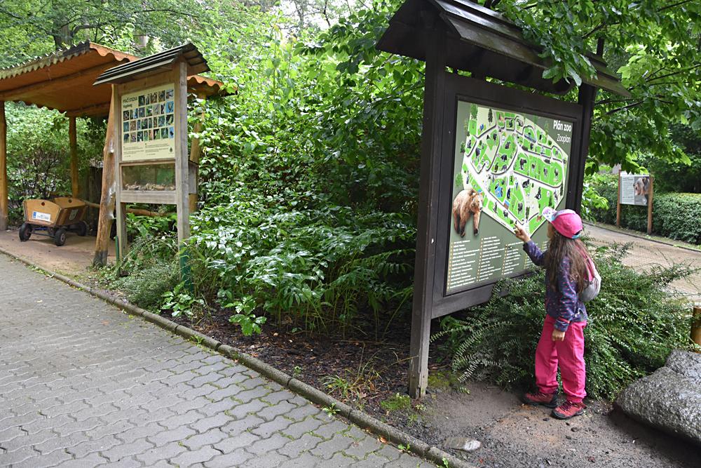 ZOO D���n