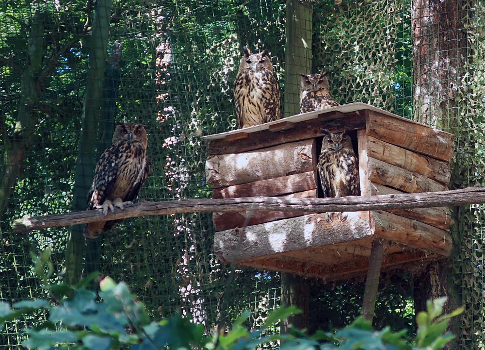 V��� rodinka v ZOO D���n.