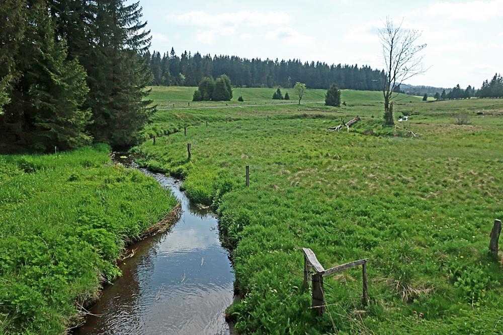 Bo��darsk� potok v Kru�n�ch hor�ch.