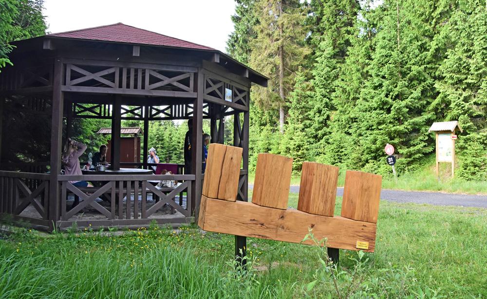 H�ebenovka v Kru�n�ch hor�ch.