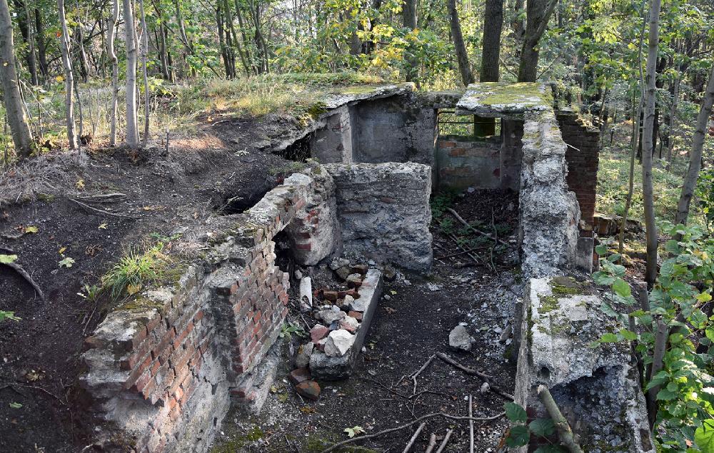 Varnsdorfsk� �pi��k v roce 2024.