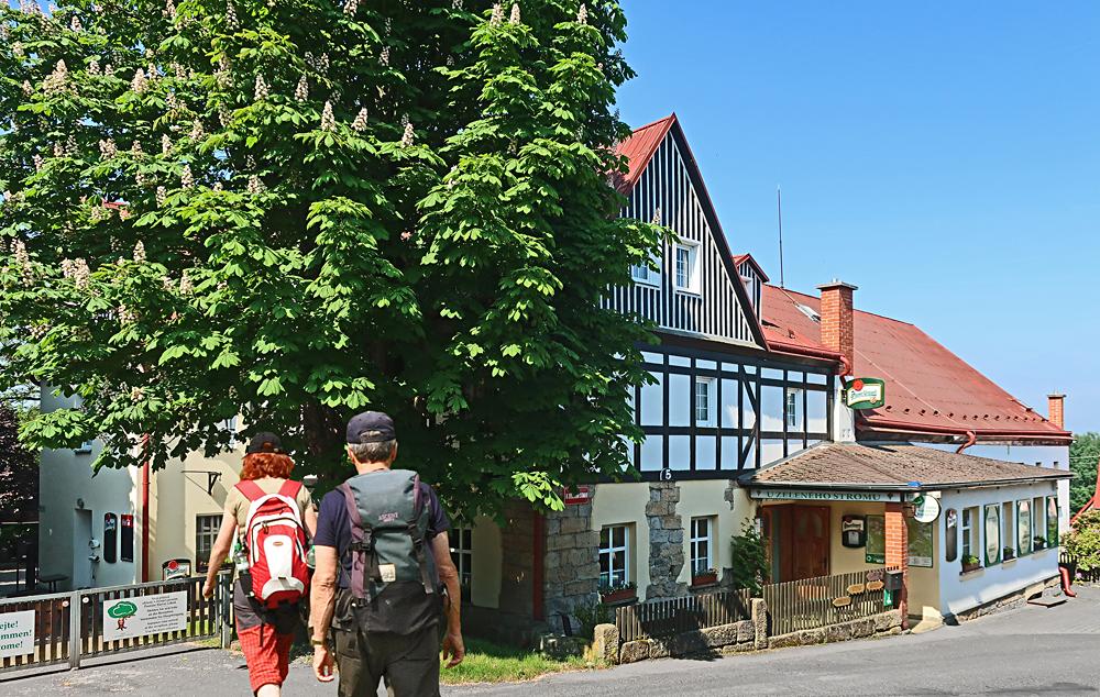 Hotel U Zelen�ho stromu - Janov nad H�enskem (�esk� �v�carsko)