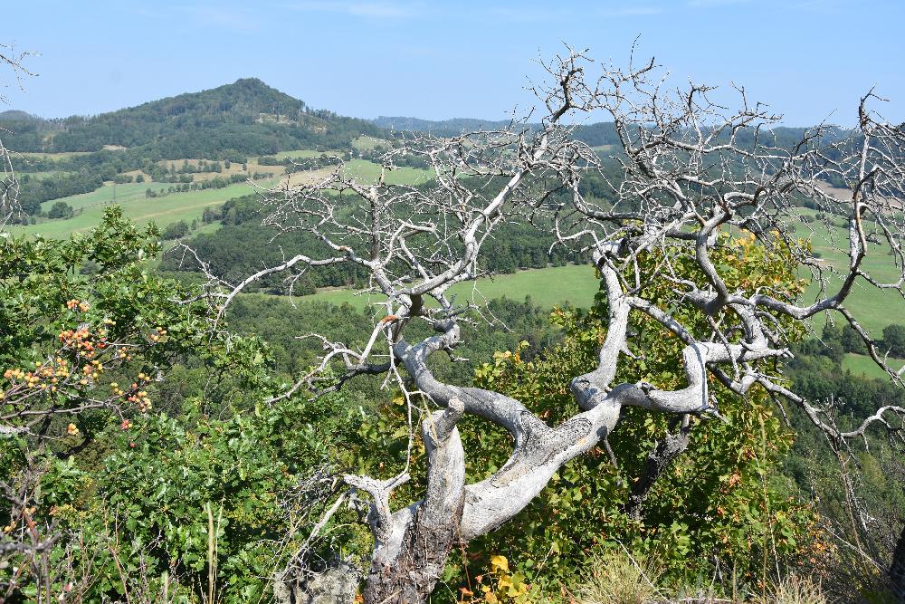 Pohled z Trojhory sm�rem k vrchu panna v �esk�m st�edoho��.
