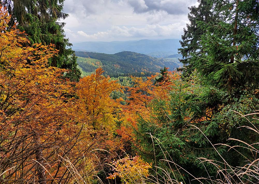 Krajina kolem J�chymova - Kru�n� hory.