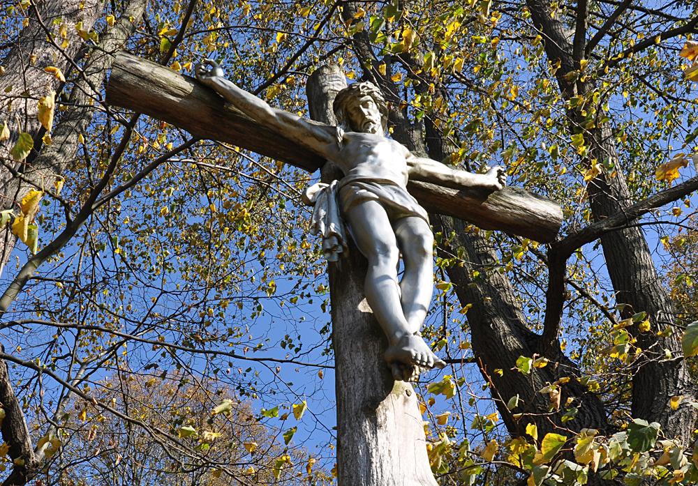 K��ov� cesta u Velk�ho �enova - �esk� nizozem�