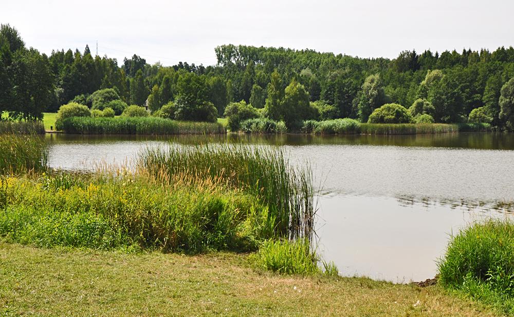 P��rodn� rezervace Star� Ole�ka - D���nsko